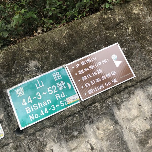 【台北大縱走4】潺潺小溪，綠樹林蔭925034
