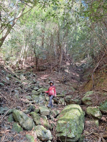 雪見駐在所+雪見山202512252971634