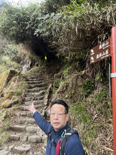 鹿林連走麟趾山2637314