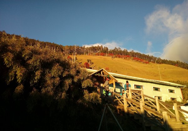 雪山 不下雪532965