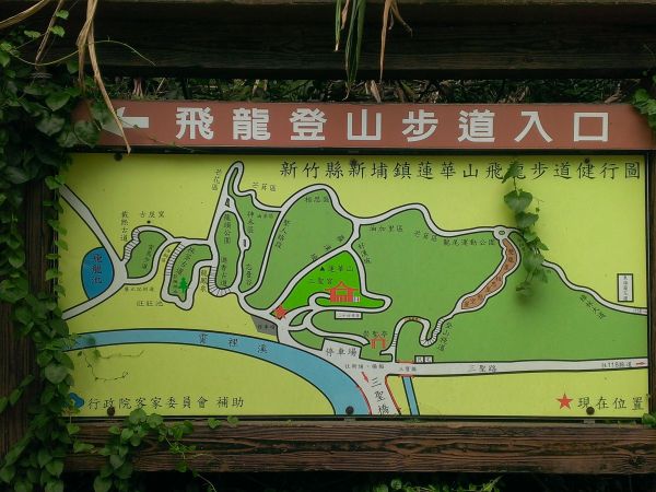 蓮華山古道-滿滿的假蹄蓋蕨320701