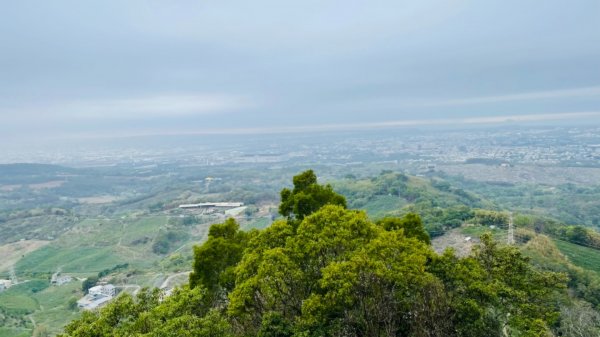 1100306.13鳳凰山.觀音山步道1298230