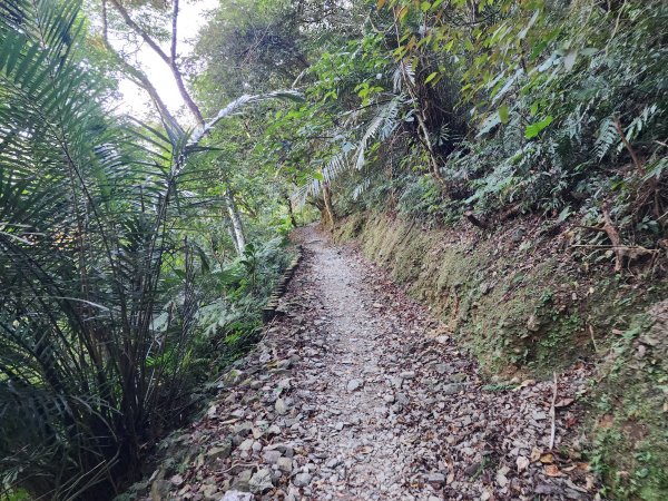 新北烏來｜內洞國家森林遊樂區步道群2904733