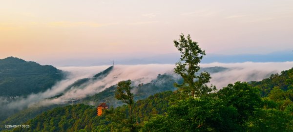 石碇趴趴走追雲趣 #二格山 #雲瀑 #藍腹鷴母鳥 #雲海流瀑 #霧虹 5/172788217