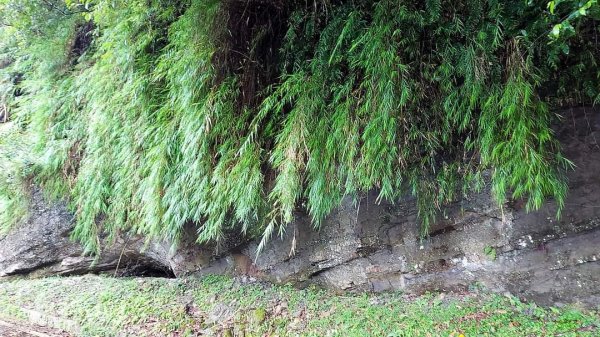 平溪  望古瀑布步道  猴硐貓村 運煤遺址。搭火車去旅行  最小的火車站 被人們忽略的秘境 望古瀑布2186066