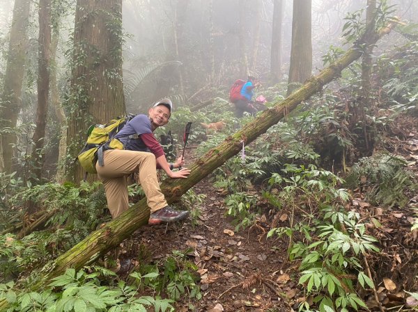 馬那邦山.細道邦山【你 不能預判山的變幻莫測】2401511