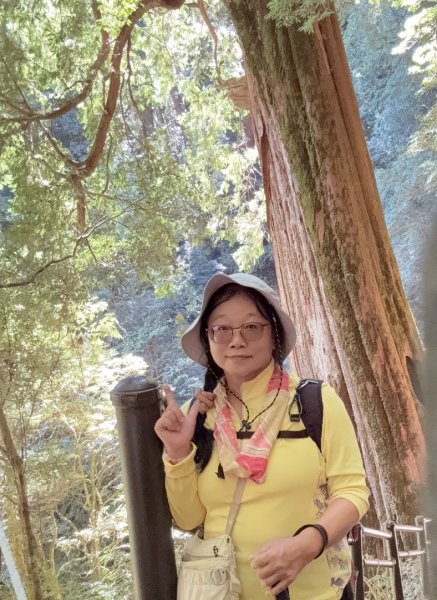 漫遊大雪山森林 訪尋雪山大小神木 快閃天池2922780