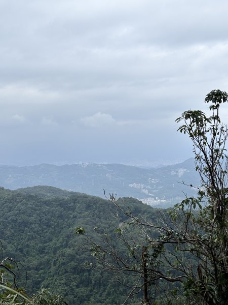 二格山、南邦寮山2941706