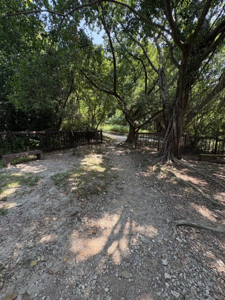 20251012高雄半屏山步道2915118