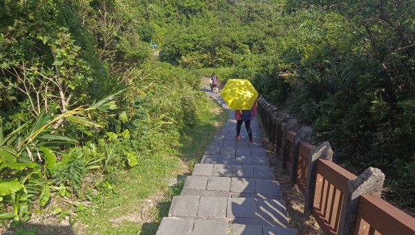 (姨婆趴趴走)第二十集:基隆望幽谷、潮境公園、八斗子輕鬆行2251957