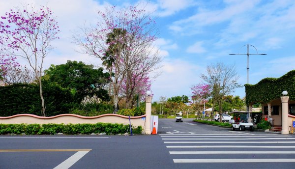 豐之谷,理想大地,林田山,立川漁場3007281