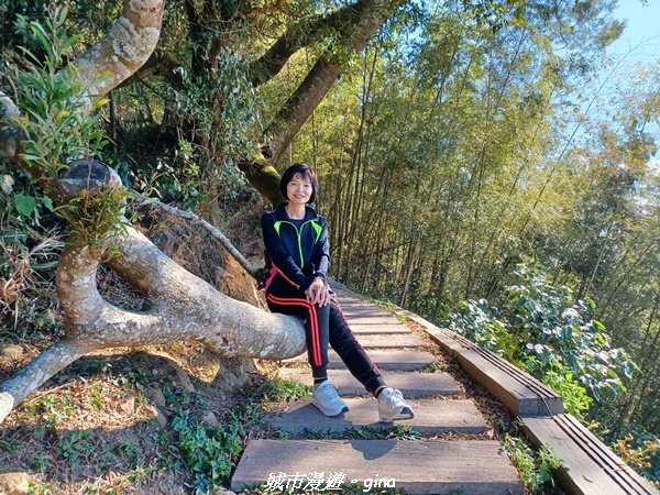 【嘉義梅山】悠閒踏青趣。 雲嘉大尖山、二尖山步道2447267