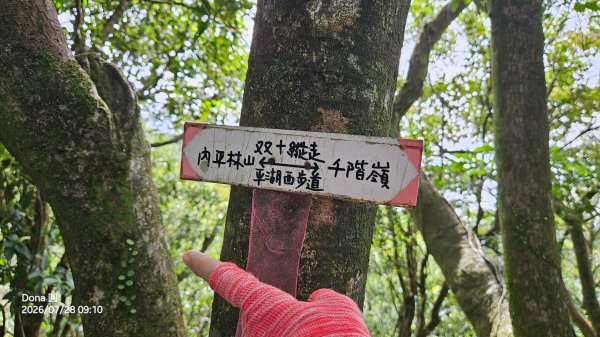 平湖西步道.內平林山.大坑山.平湖東步道O走全紀錄3094141