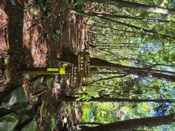 志佳陽大山／至高點／雪山大草原／瓢單山屋／四季蘭溪吊橋2927663