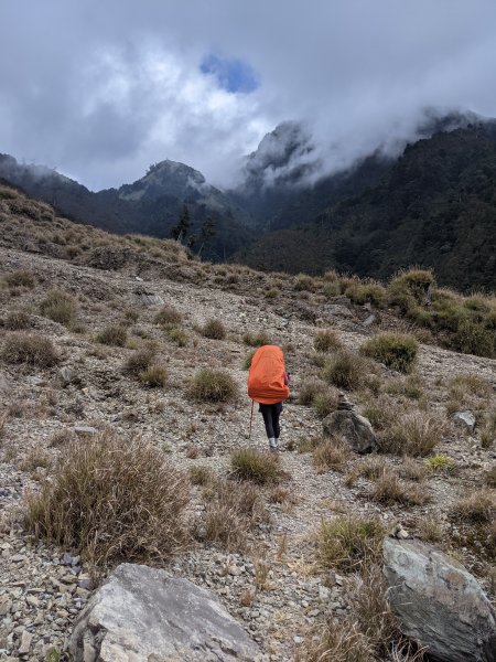 【高雄桃源】小關山林道上小關山1275069