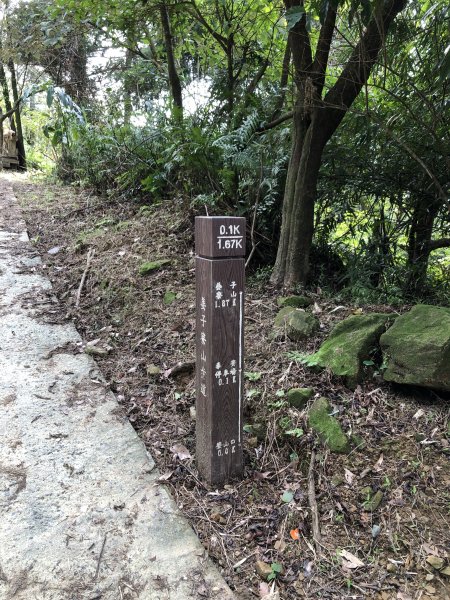 台灣小百岳No.011姜子寮山908414