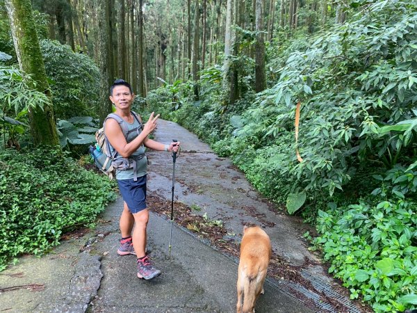 溪頭山-竹崙山-志騰山【夏日最愜意的避暑路線】2891491
