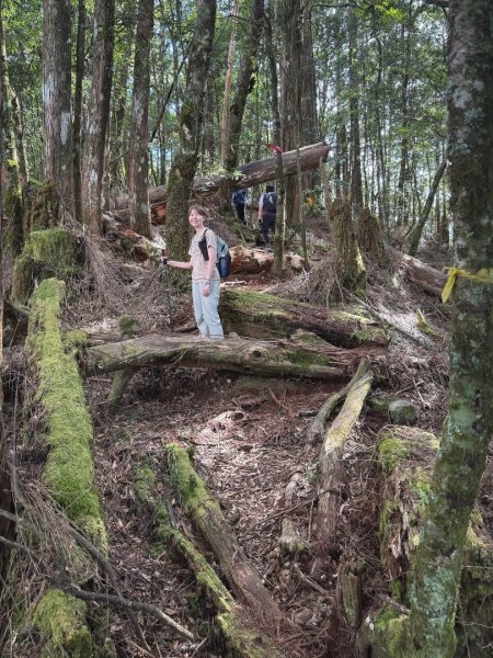船型山林道賞雲海、烏石坑山、2432峰 山景海景一次到位2929300