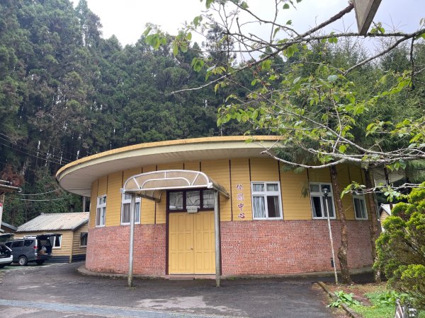 1150404-5水山巨木步道。二萬坪樹抱石3035669
