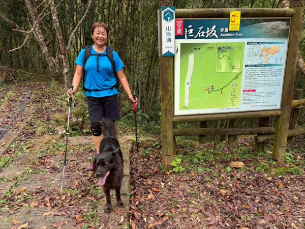 阿里山達娜伊谷、里美避難步道、巨石板步道2909935