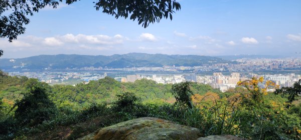 2026_01_18_探索你的後花園@土城2985004