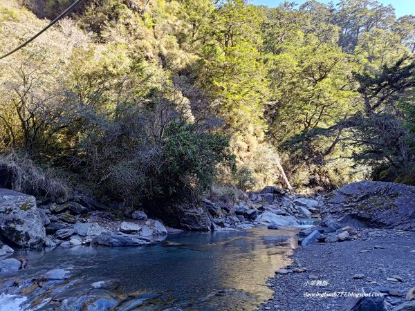 【南投】合歡溪步道：遠得要命的櫻花鉤吻鮭2912238
