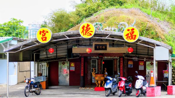 點亮初夏的綠光3085884