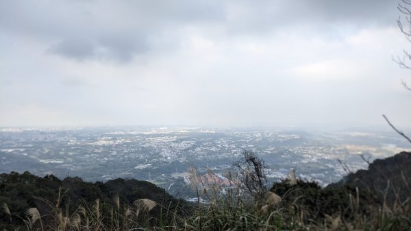 桃園石門山步道1994628