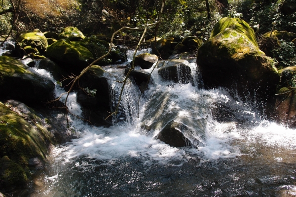 大屯溪古道上小觀音山西峰32764