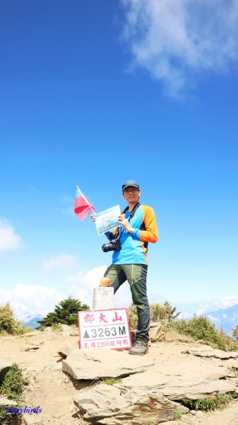 眺望玉山群峰最佳角度~郡大山701949