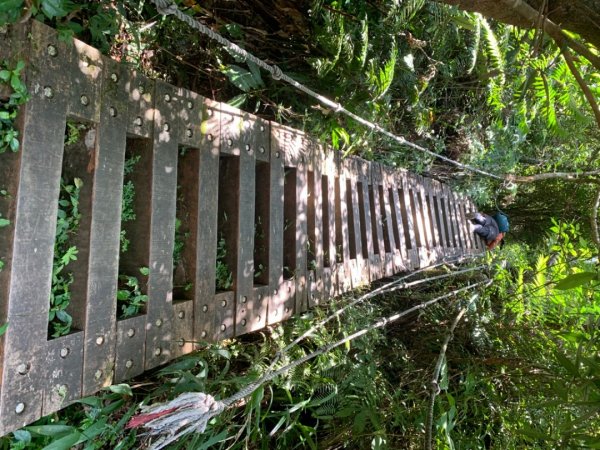 獅仔頭山/小百岳1453963