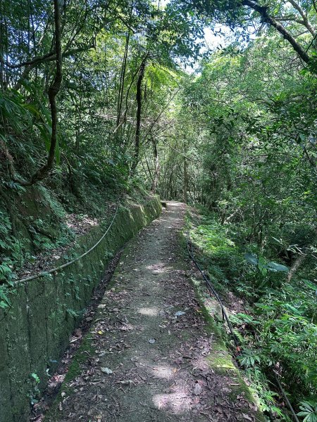 平溪小黃山2873266