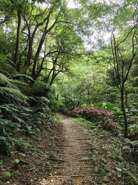 林口老公崎步道2827706
