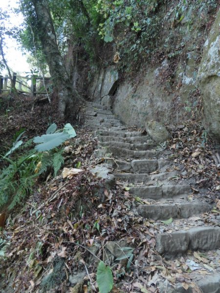 崁頭山(順遊東原老街‧品嚐東山咖啡、東山鴨頭)2086151