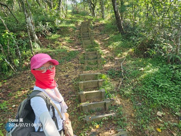 小格頭獅頭山.鱷魚島.八卦茶園3089960