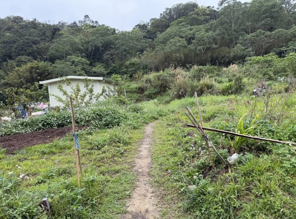 [樟之細路_第二大段RSA17] 2026_0328 飛鳳古道3026055