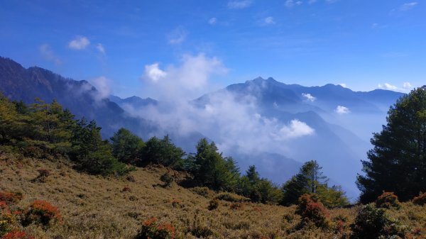 搭車很久很顛的百岳菜市場，郡大山望鄉1278612