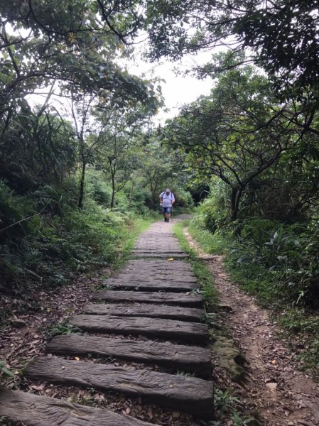 姜子寮山步道2280017