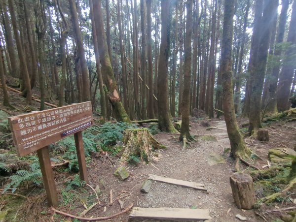 2026.02.14－特富野古道3013716