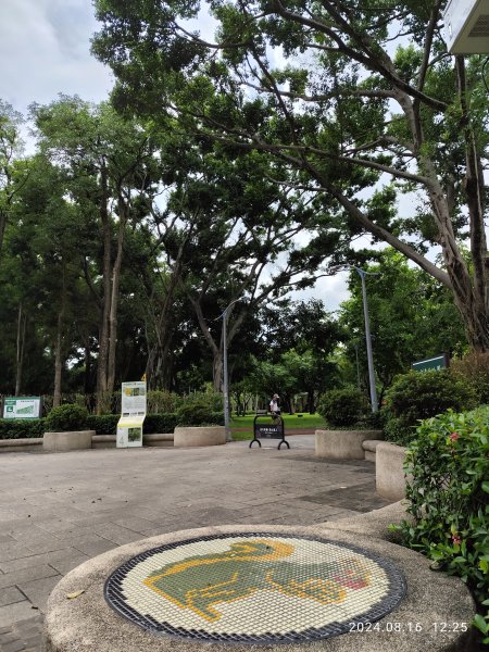 大安森林公園、永康公園、大港墘公園 - 內科嘉年華會 戲曲•特技之夜2577764