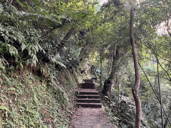 [微笑山線_第六段] 2025_0807 二格山系_和美山螢火蟲段2854615