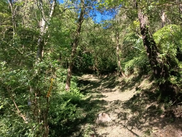 雙溪區豹子廚越嶺保甲路2877005