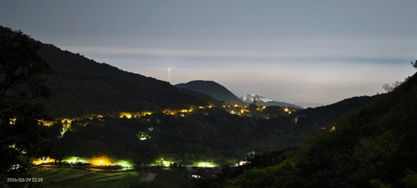 雲山水花鳥蝶-天龍國阿伯的日常 3/29-303026181