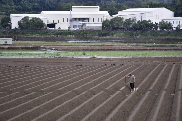 重返樟之細路：汶水。大窩。老官道1473305