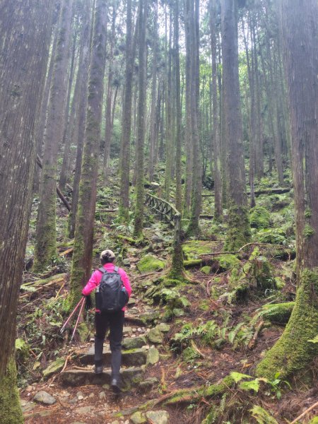 橫沙笛/橫嶺山、沙蓮山、笛吹山2799350
