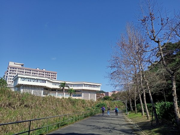 【臺北大縱走 7】貓空站→樟樹、飛龍步道1254326