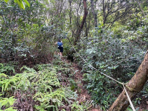 三段崎古道2835533