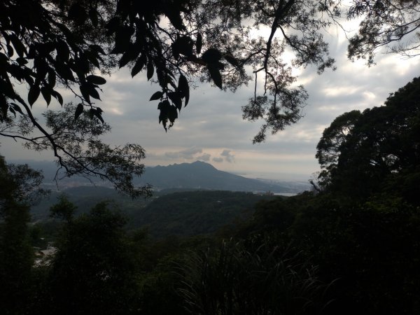 鞍部-大屯縱走-面天山-向天山-清天宮995254