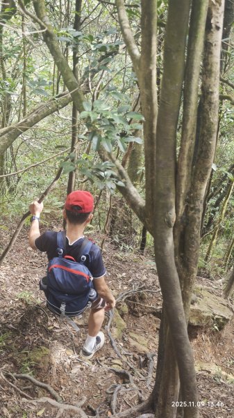 20251109 士林站到大湖站(福山宮_腰繞_燕溪古道_翠山步道_龍船岩_大溝溪)2932368