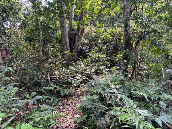 暗影山步道2753085